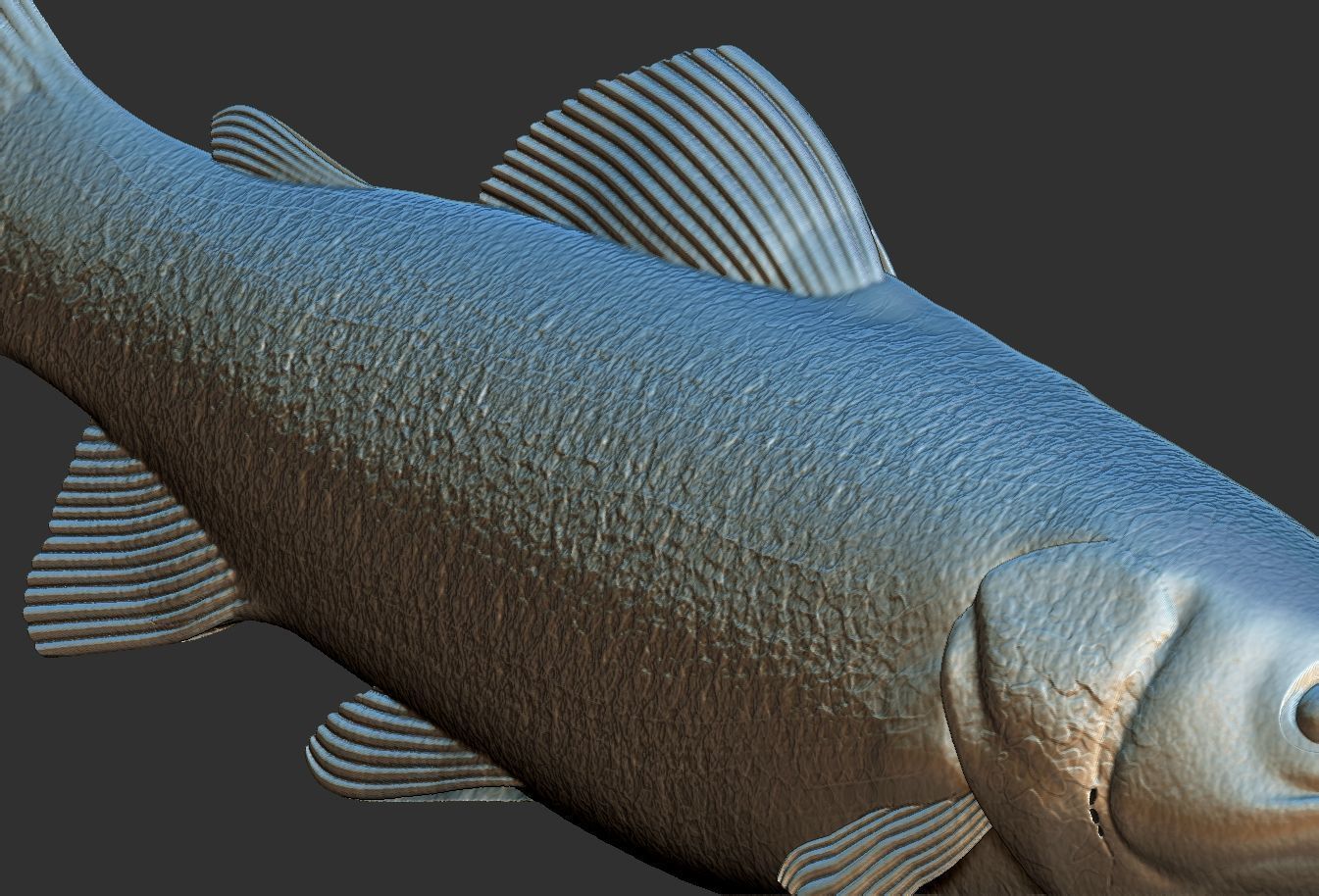 fish sea 3D print model_3