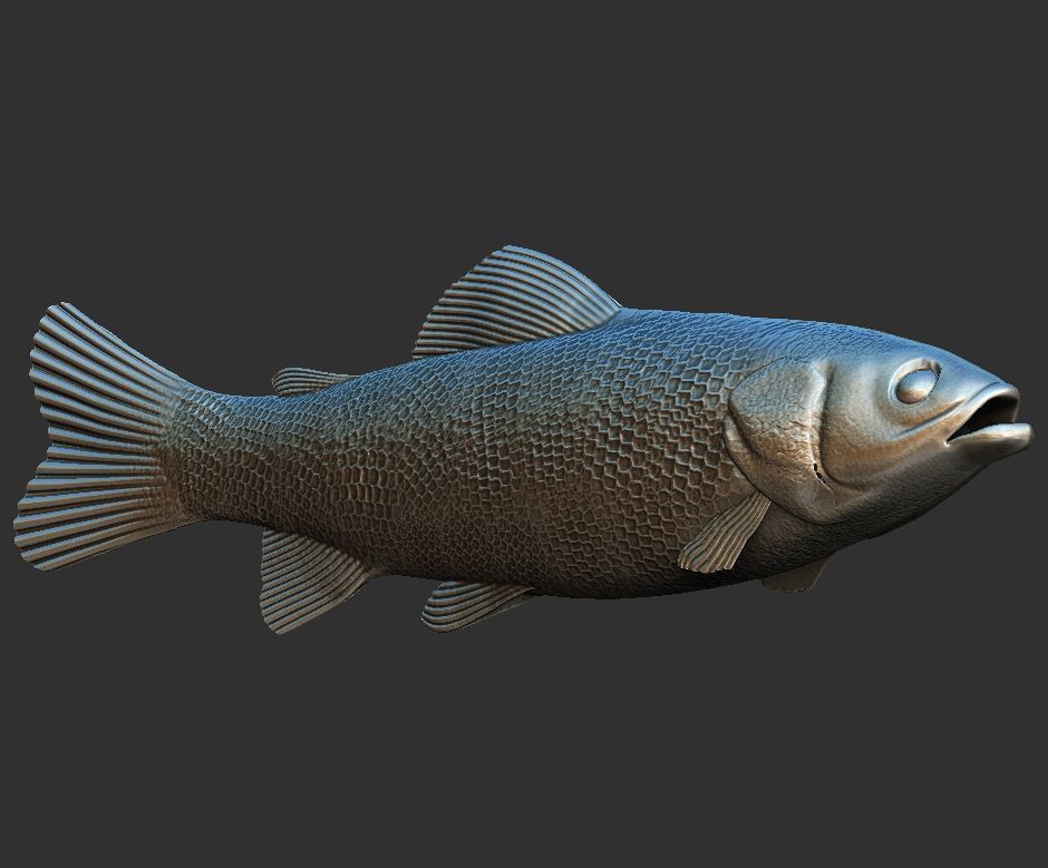 fish sea 3D print model_7