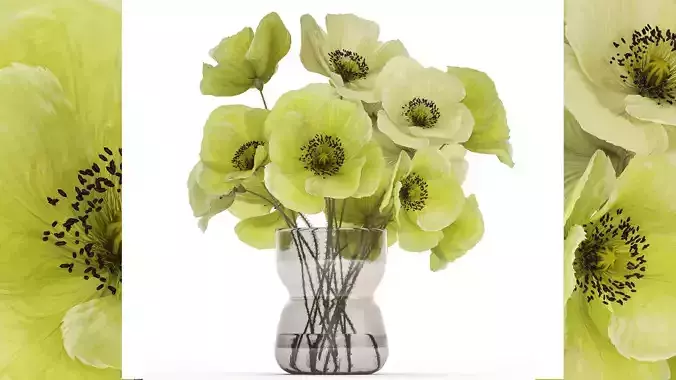 Bouquet Of Green Wild Flowers Poppy Vase 464