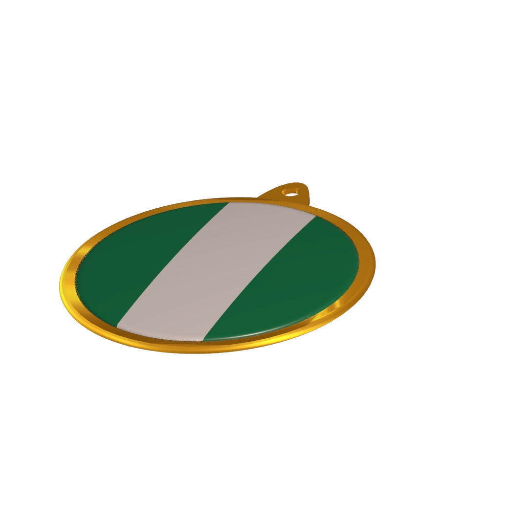 Nigeria flag medal badge 3D model_9
