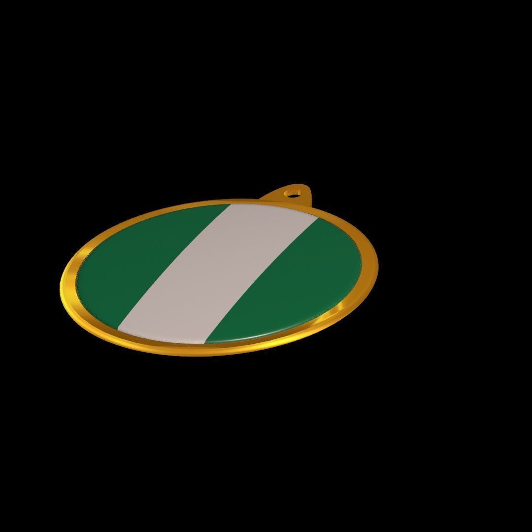 Nigeria flag medal badge 3D model_21