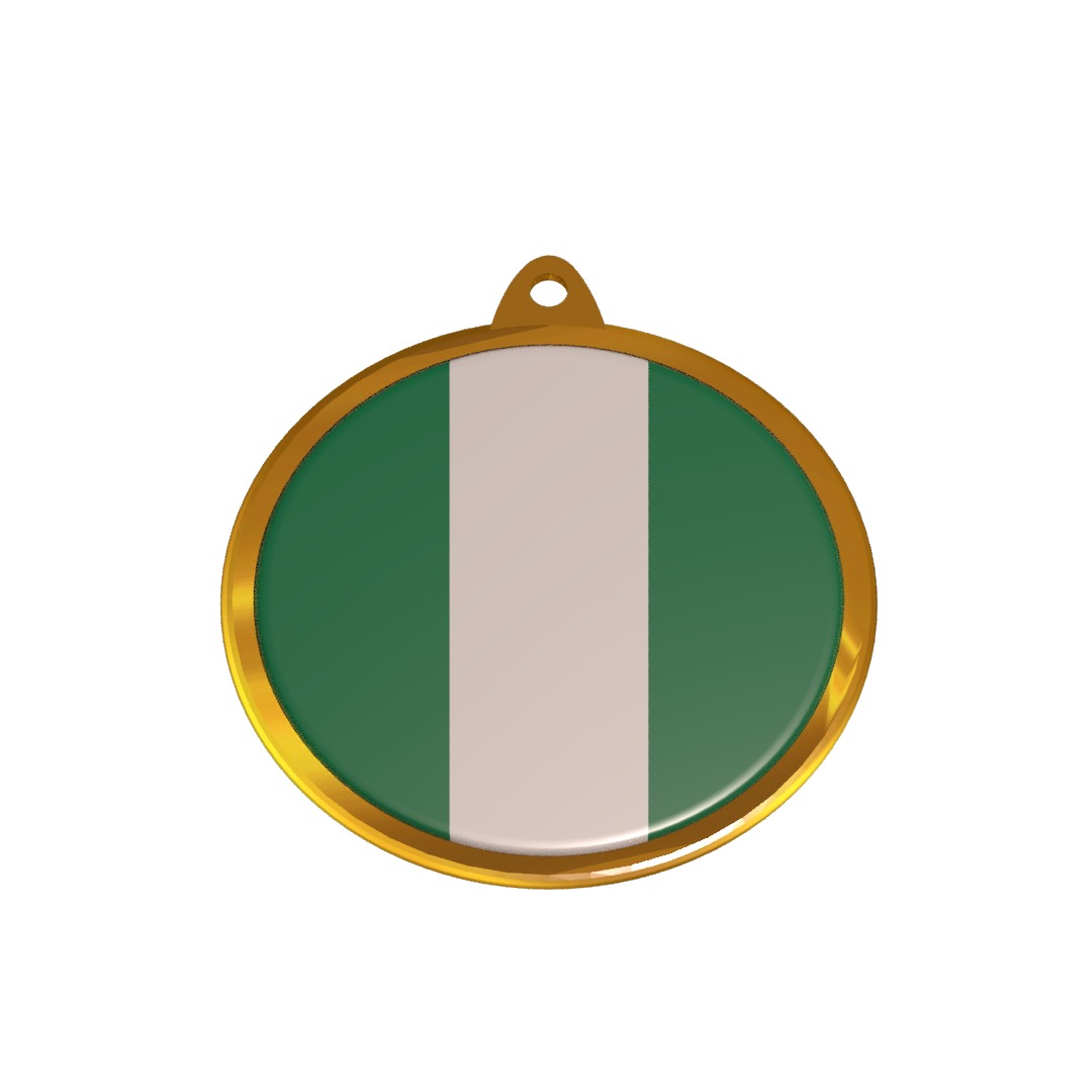 Nigeria flag medal badge 3D model_8