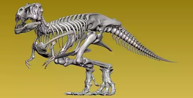 Dinosaur complete skeleton 3D print