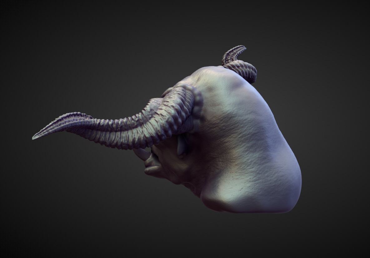 HEAD60 high poly sculpt 3D model_3