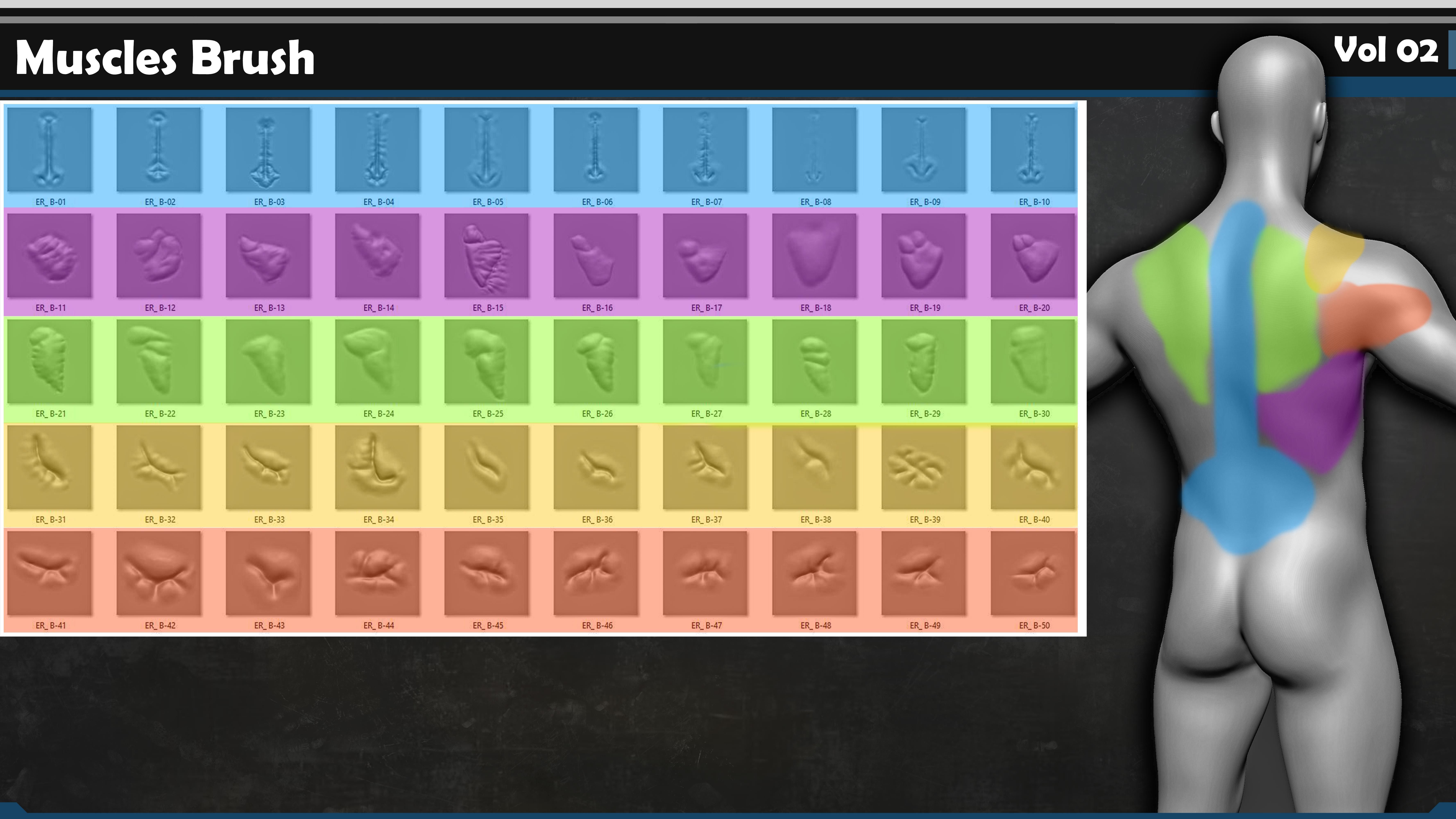  122 VDM Muscles Brush Bundle 3D model_2