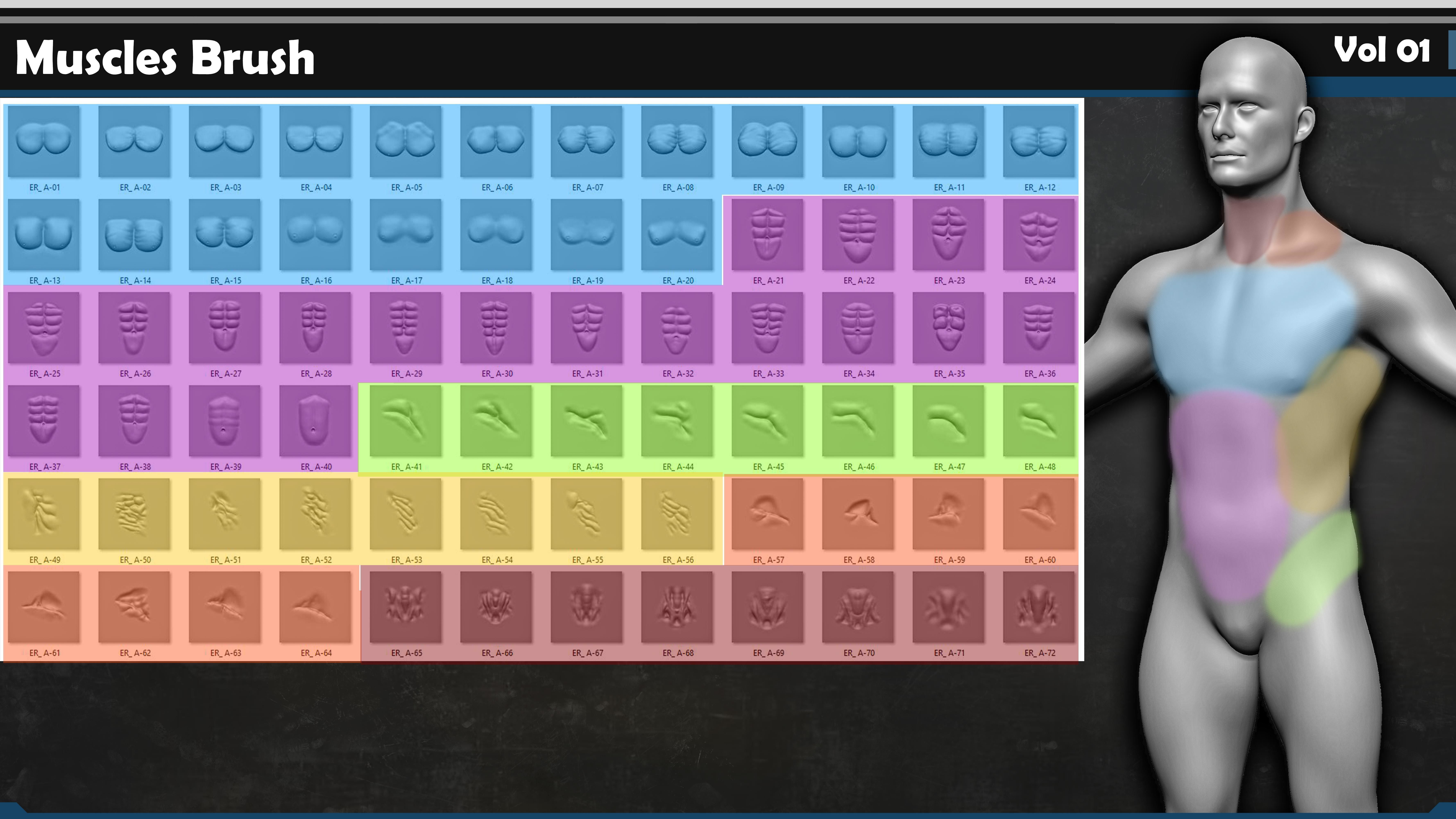  122 VDM Muscles Brush Bundle 3D model_1