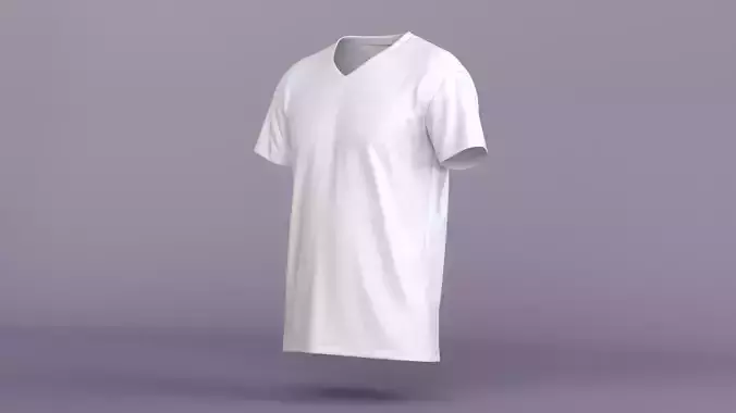 V-Neck T-Shirt
