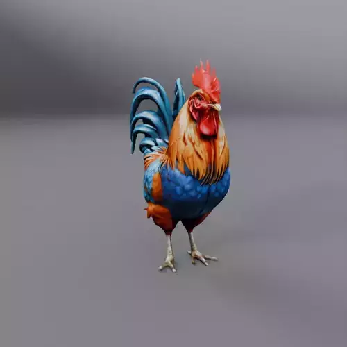 blue feather rooster