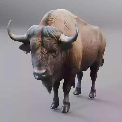 buffalo 3D model