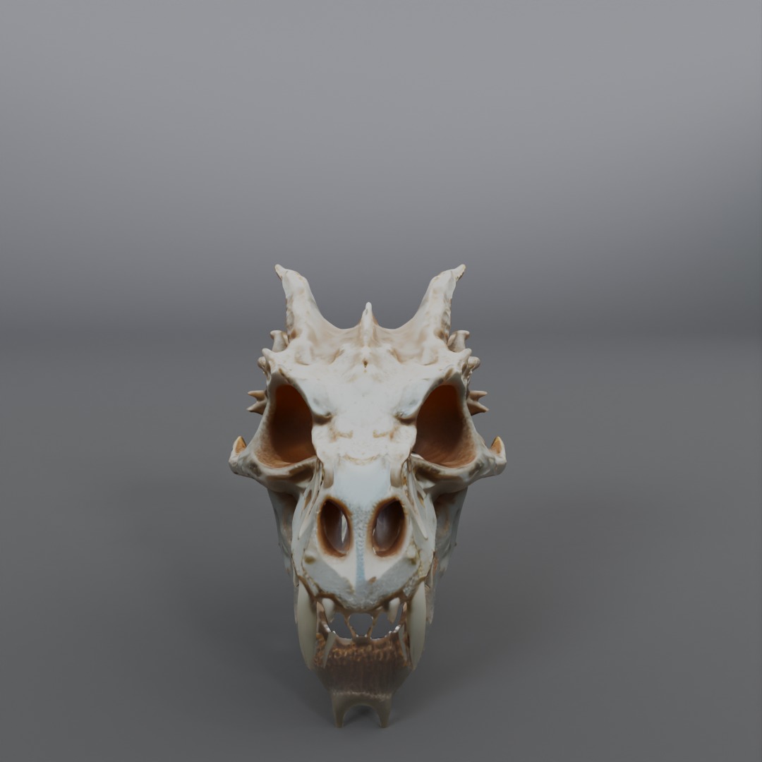 dragon skull  3D model_1