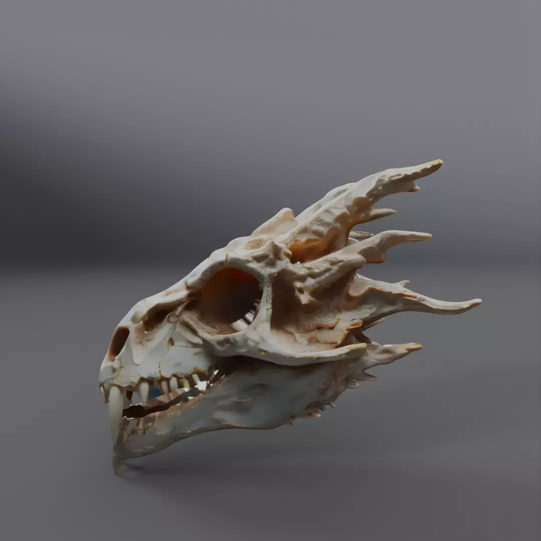 dragon skull  3D model_0