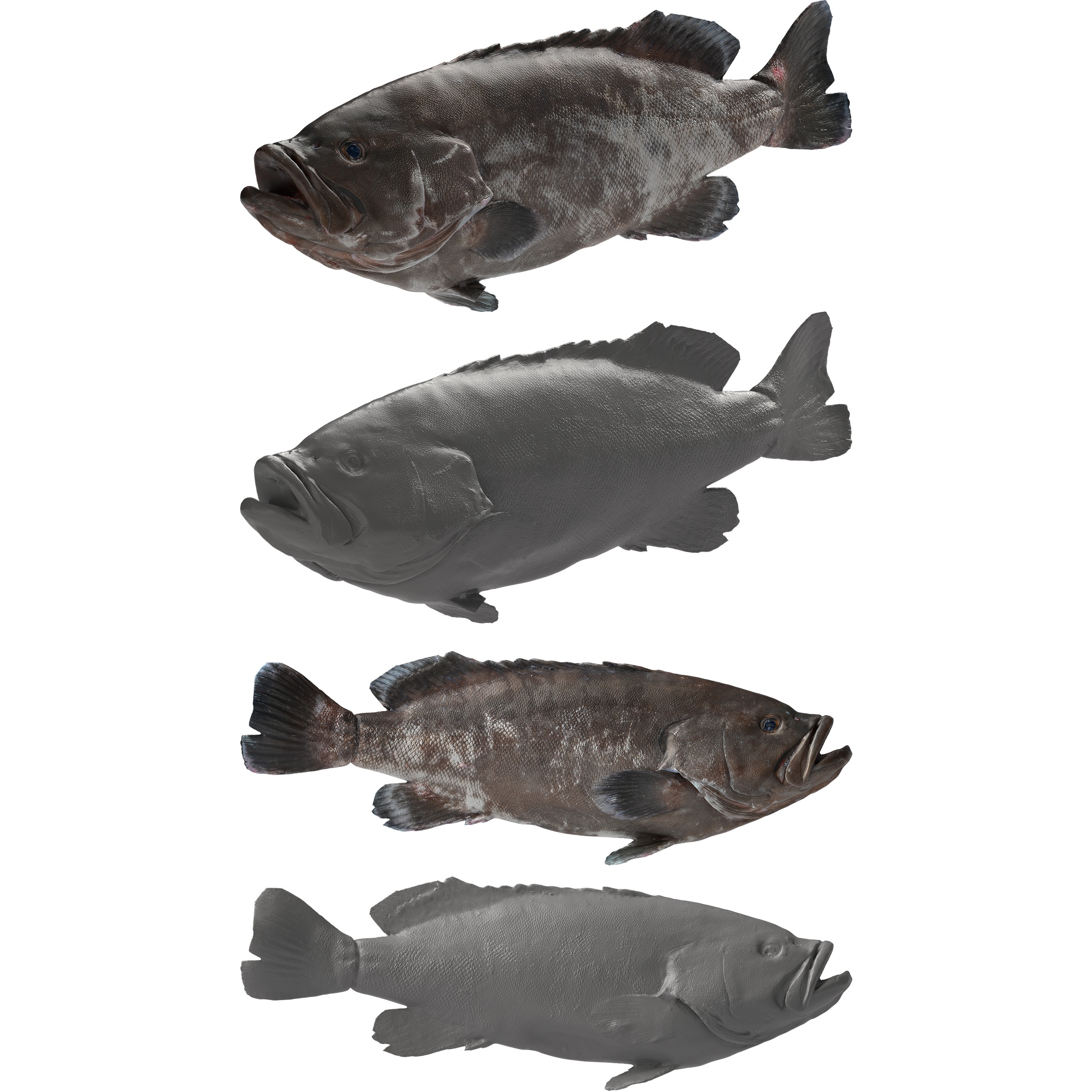 Seafood Shops Pack 01 3D model_8