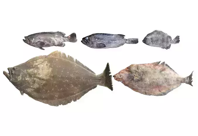 Seafood Shops Pack 01