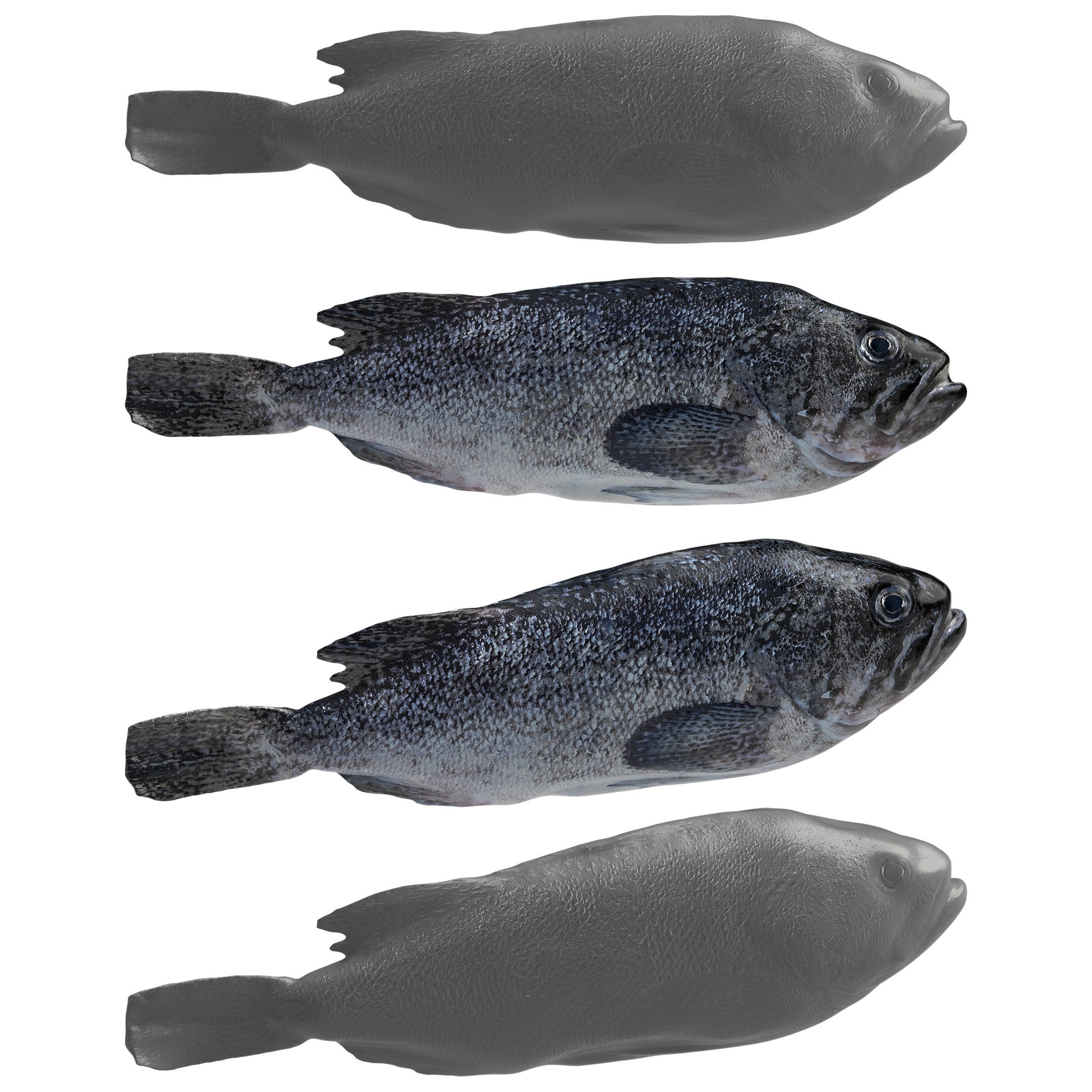 Seafood Shops Pack 01 3D model_4