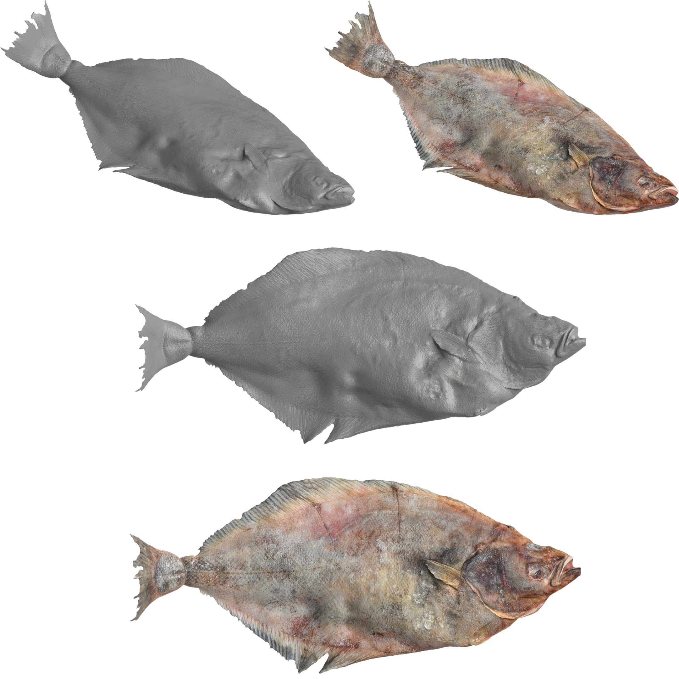 Seafood Shops Pack 01 3D model_2