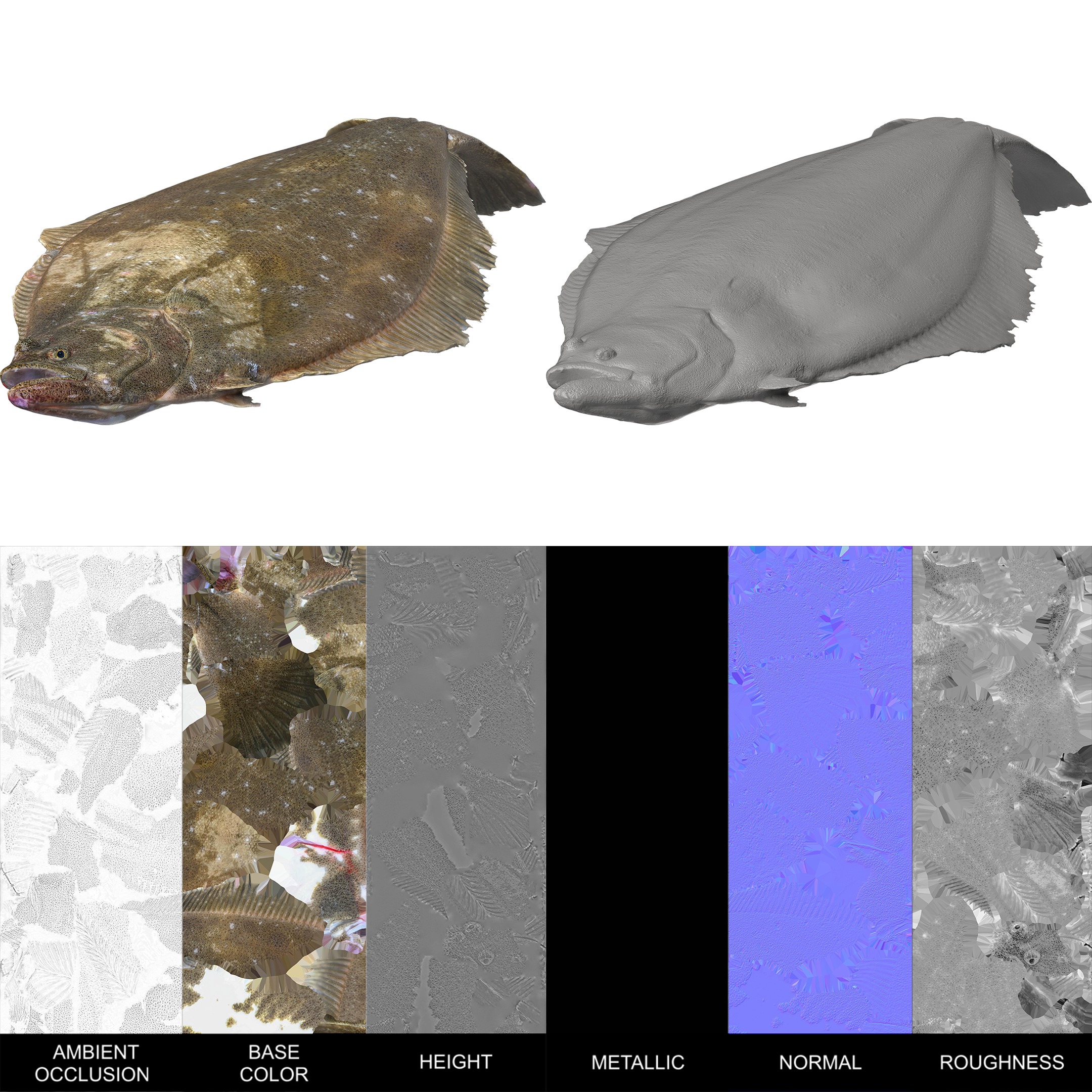 Seafood Shops Pack 01 3D model_11