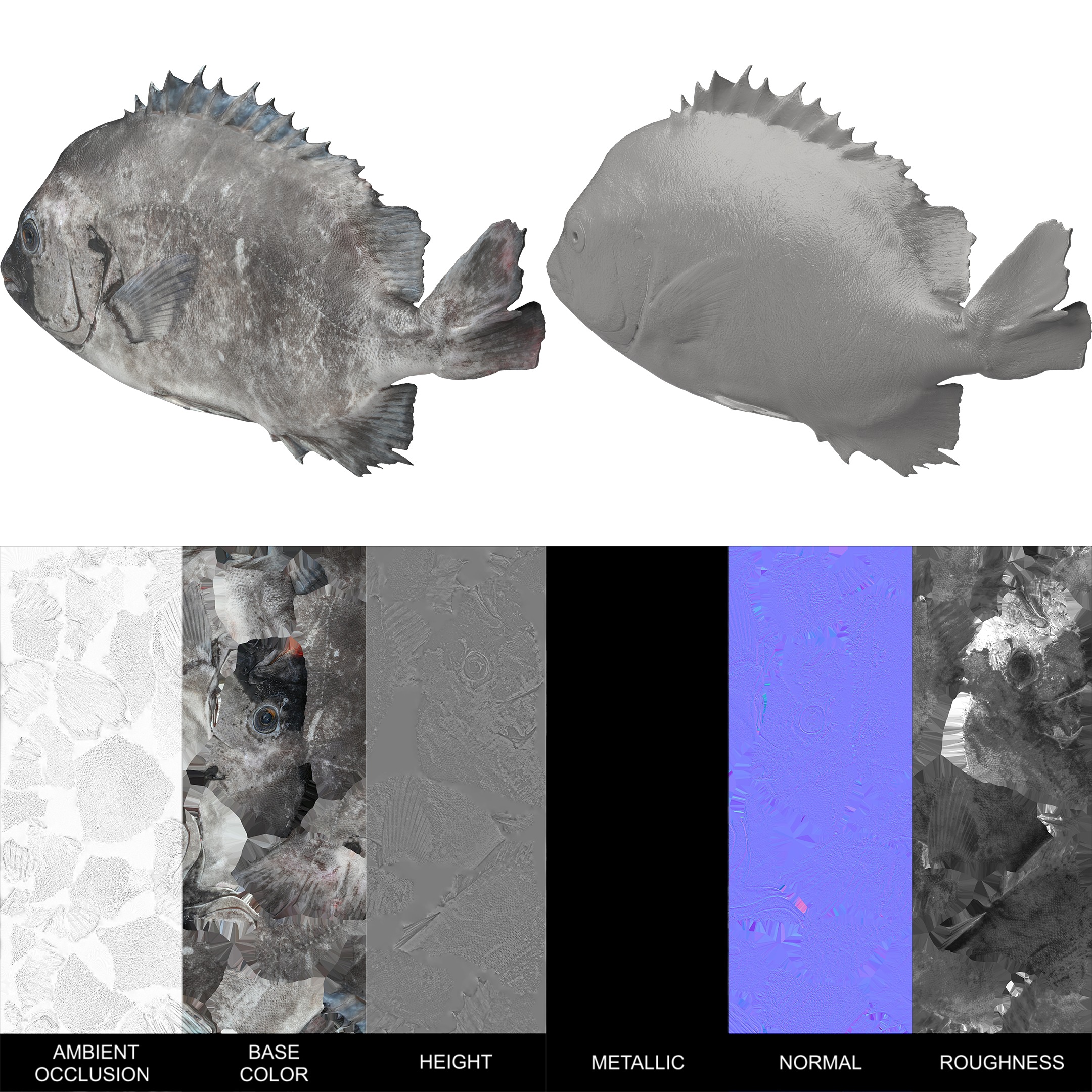 Seafood Shops Pack 01 3D model_7