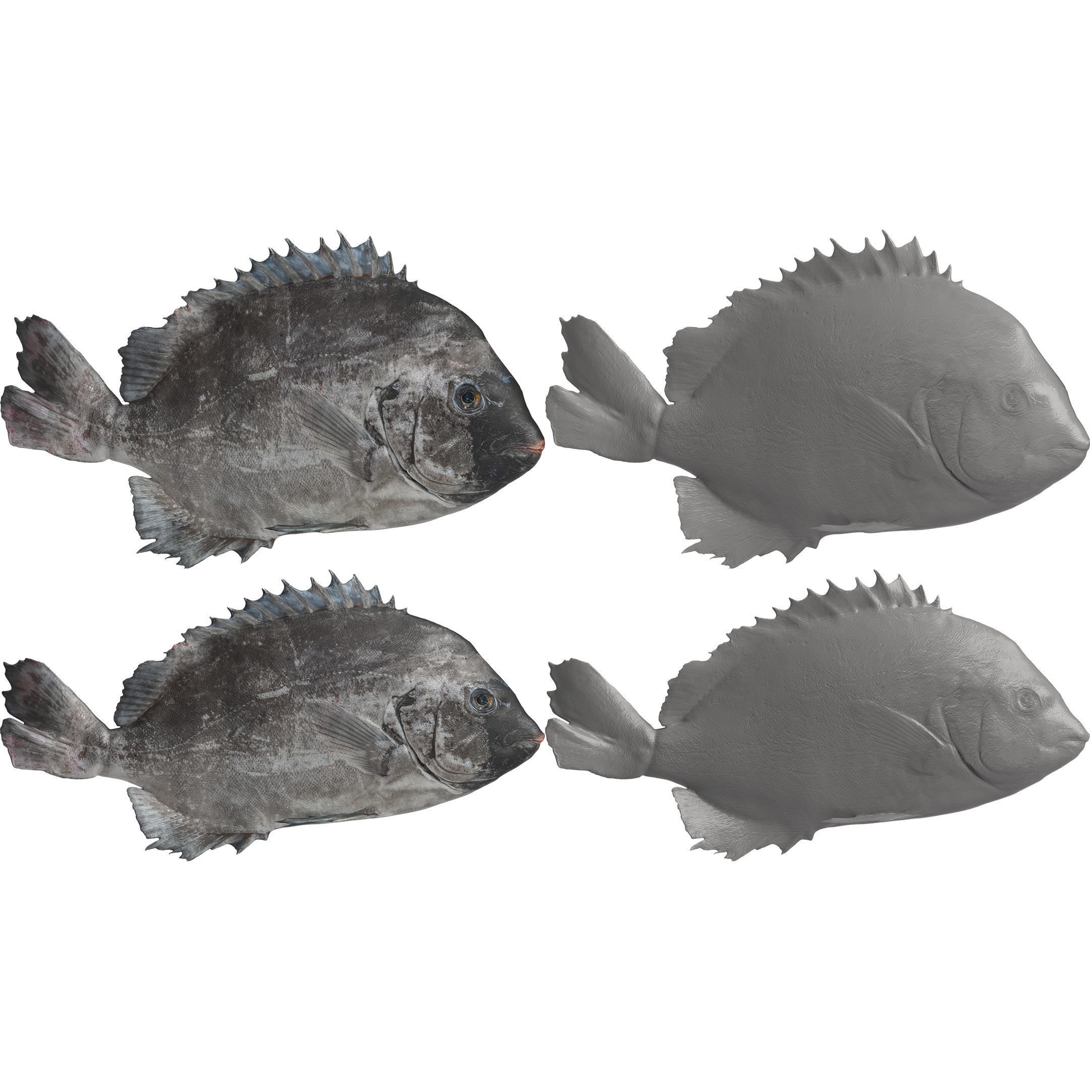 Seafood Shops Pack 01 3D model_6