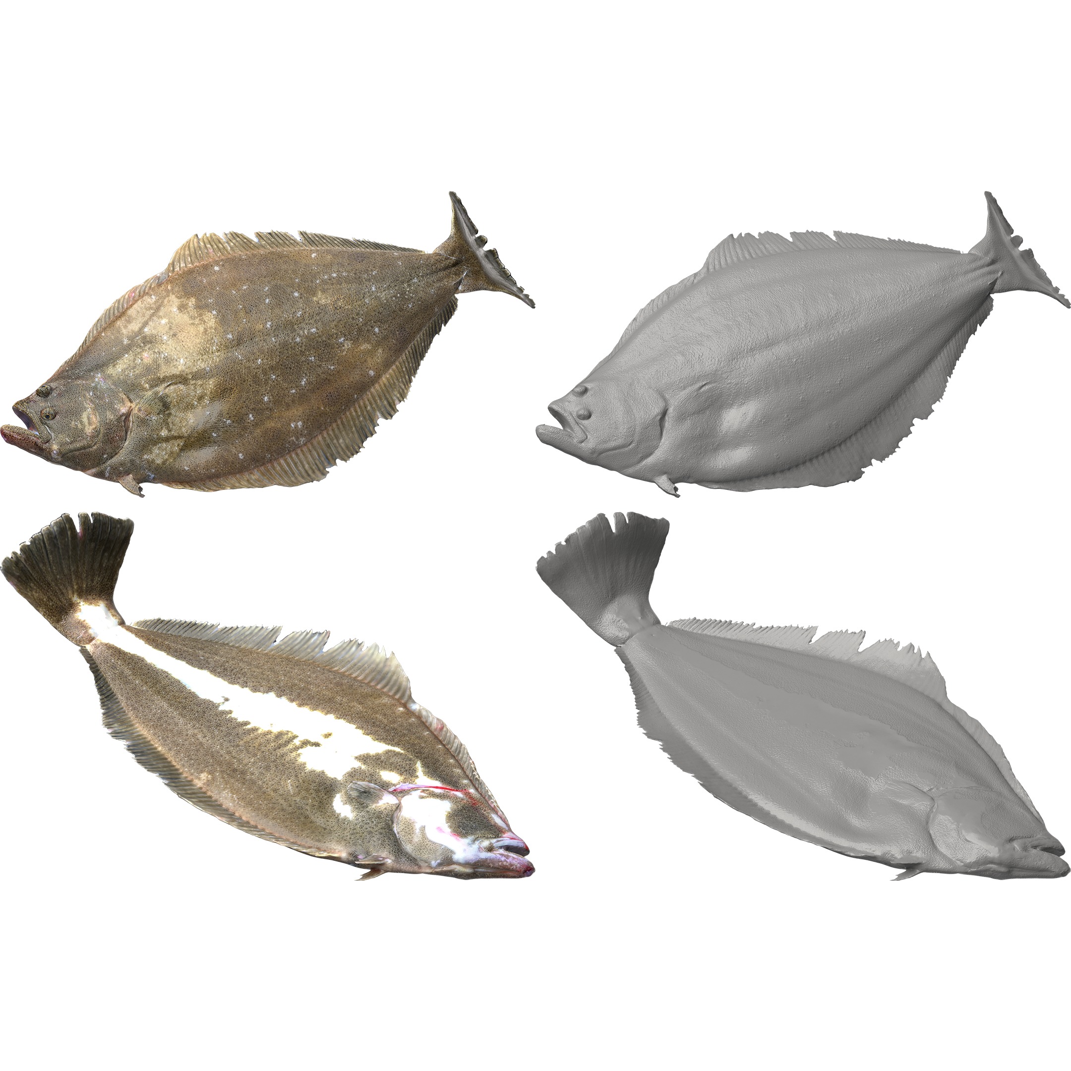 Seafood Shops Pack 01 3D model_10