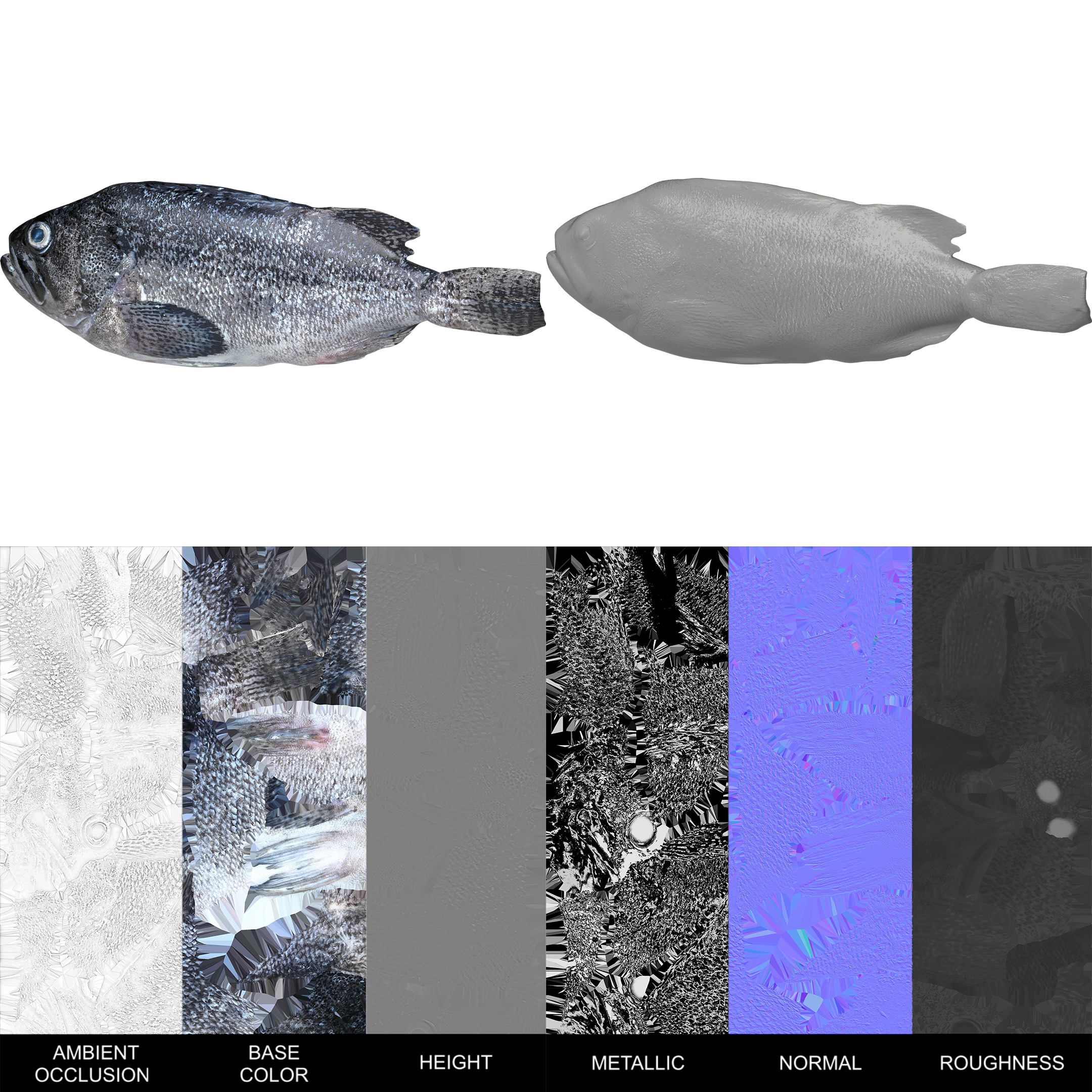 Seafood Shops Pack 01 3D model_5