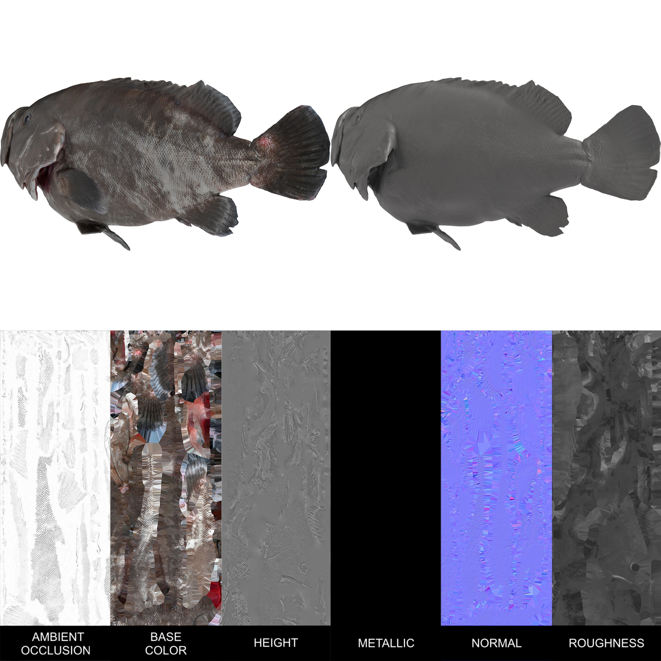 Seafood Shops Pack 01 3D model_9