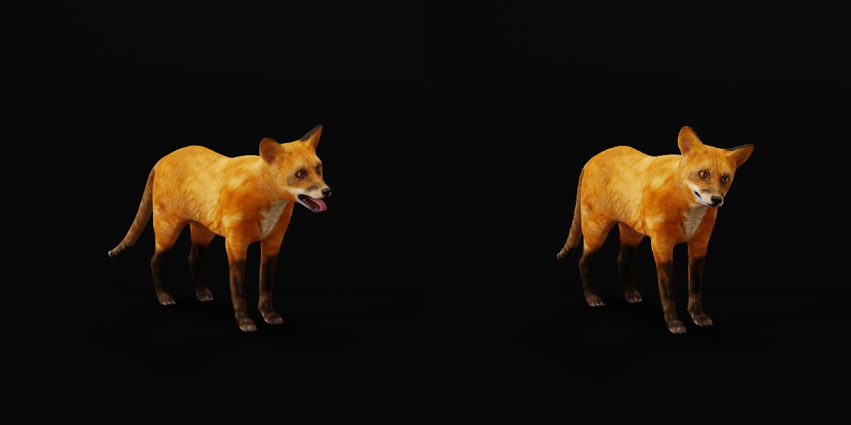 Red Fox Karaganda Low-poly 3D model_6