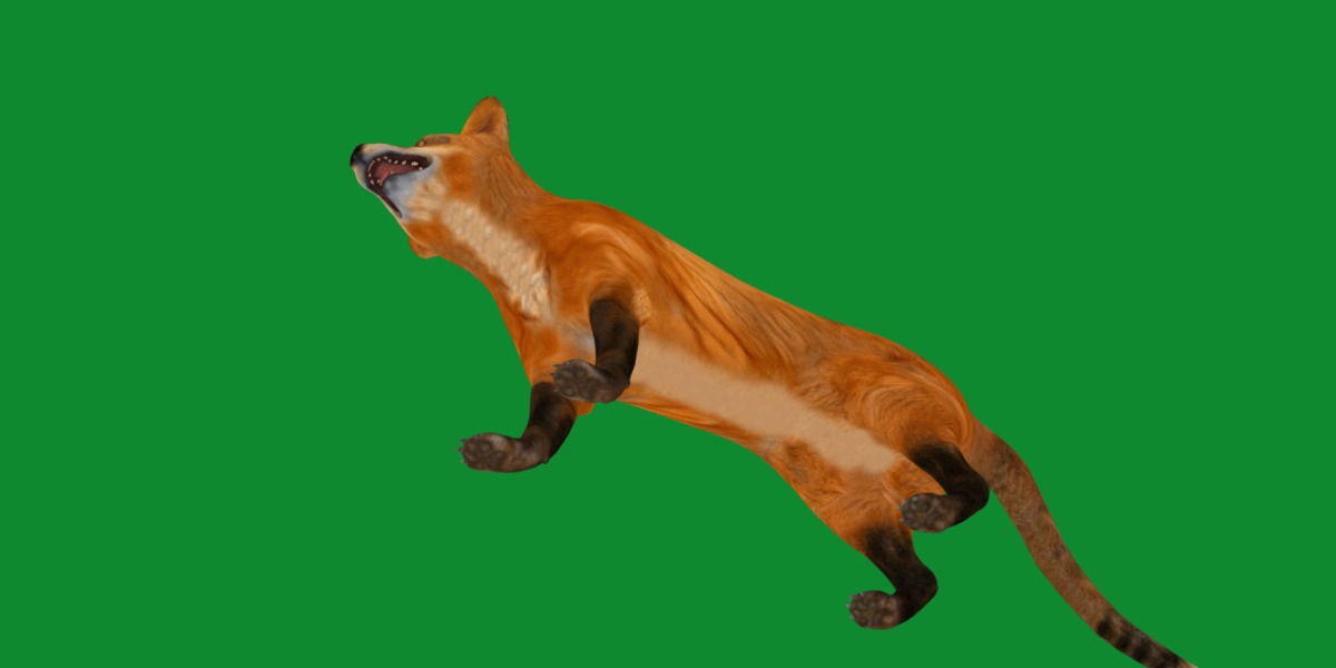 Red Fox Karaganda Low-poly 3D model_25