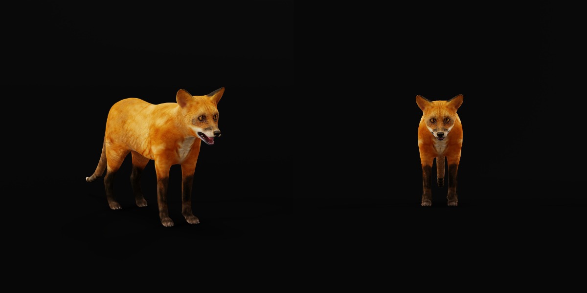 Red Fox Karaganda Low-poly 3D model_4