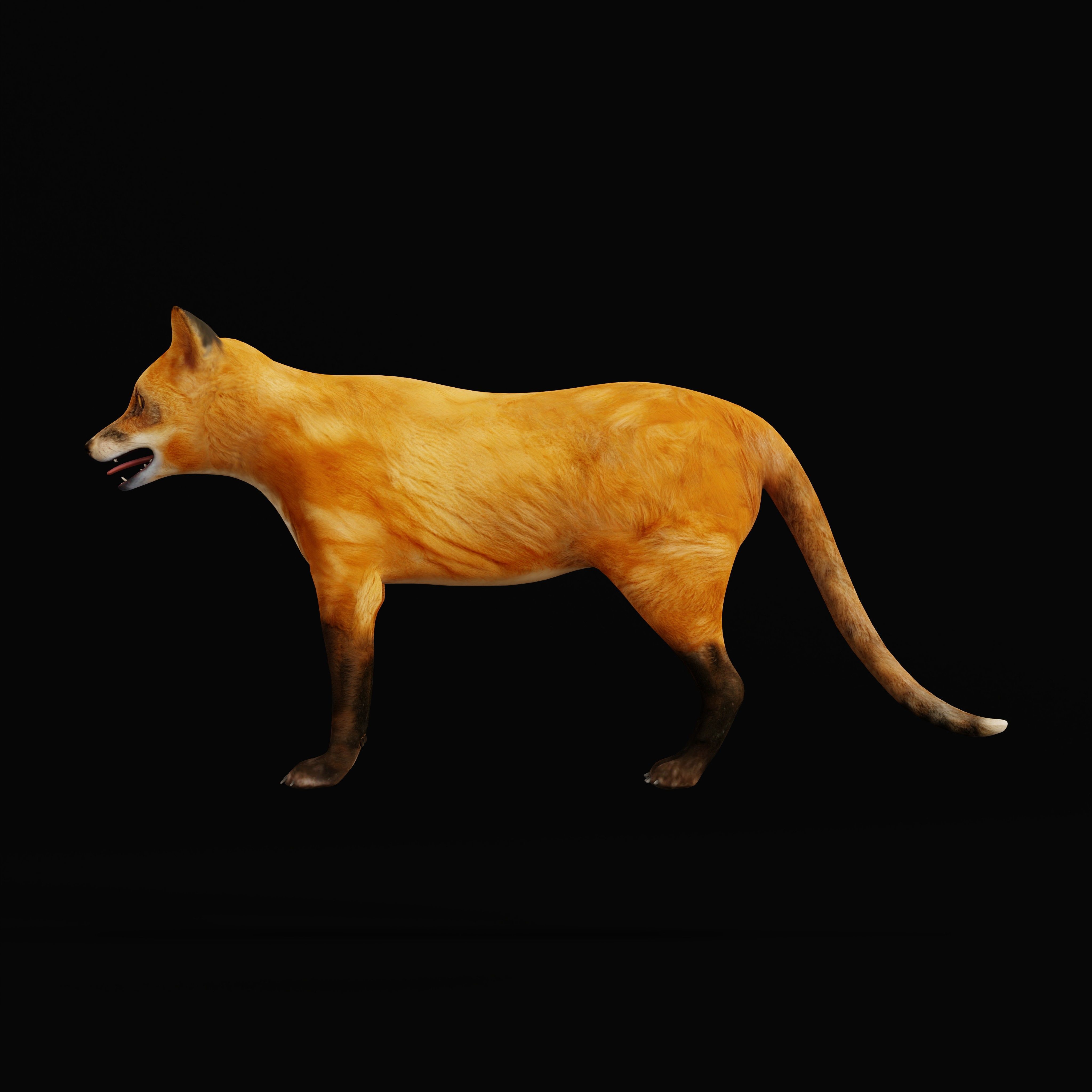 Red Fox Karaganda Low-poly 3D model_14