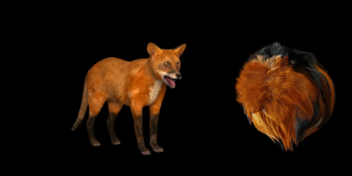Red Fox Karaganda Low-poly 3D model_9