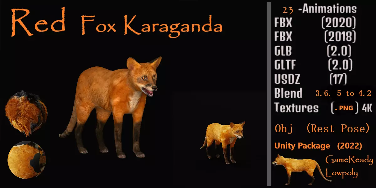 Red Fox Karaganda Low-poly 3D model_0