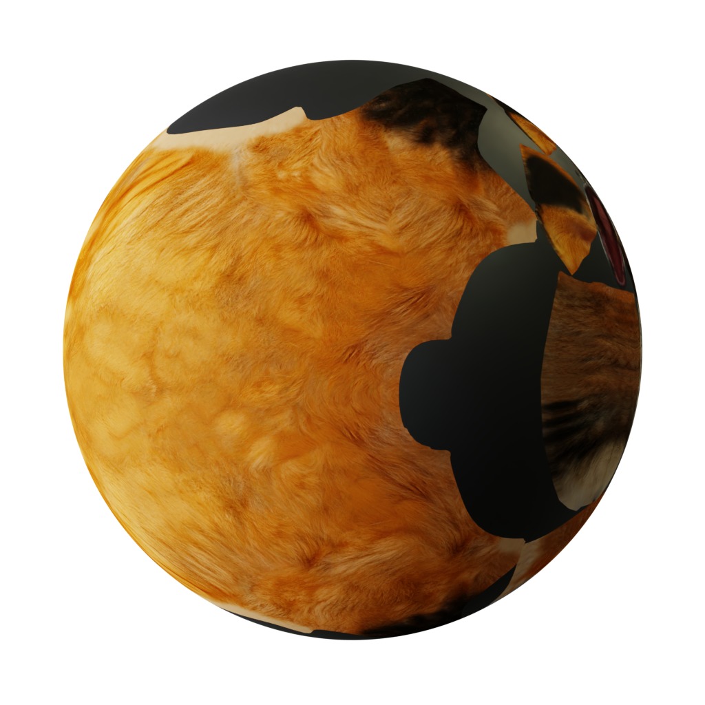 Red Fox Karaganda Low-poly 3D model_43