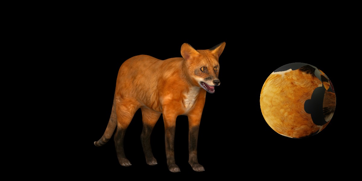 Red Fox Karaganda Low-poly 3D model_8