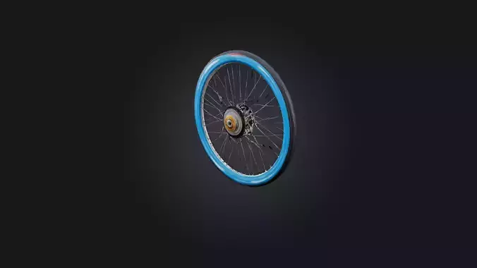 Bicycle Wheel