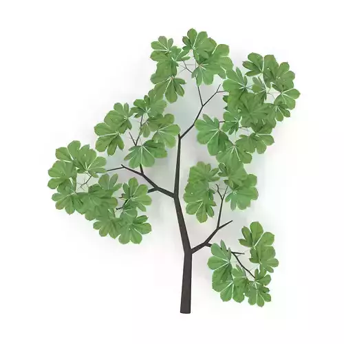 Horsechestnut Branch V3