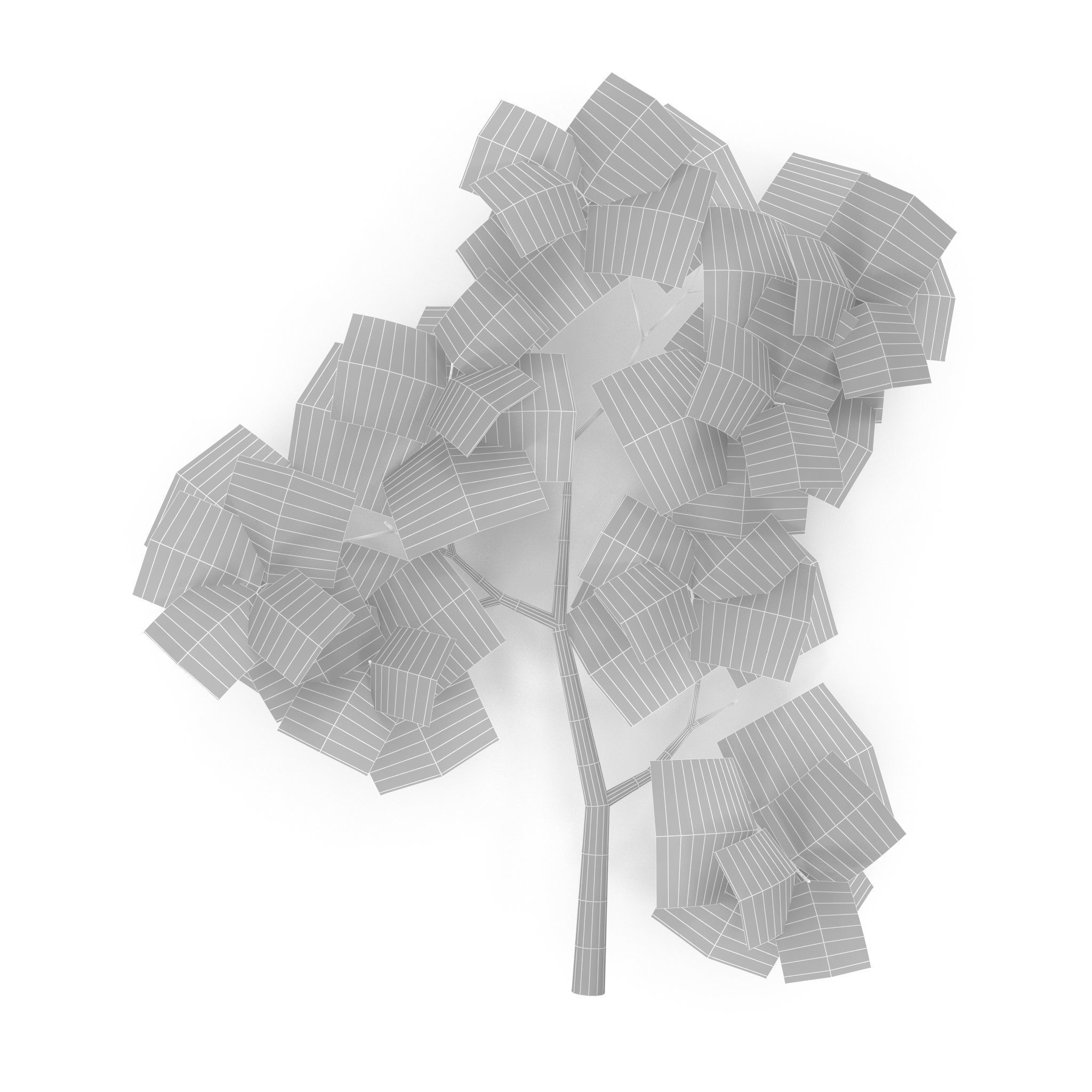 Horsechestnut Branch V3 3D model_9