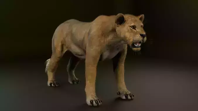 lion realitic