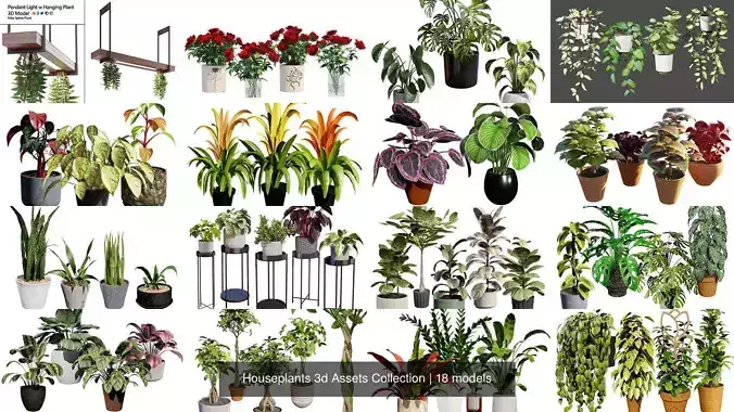 Houseplants 3d Assets Collection 