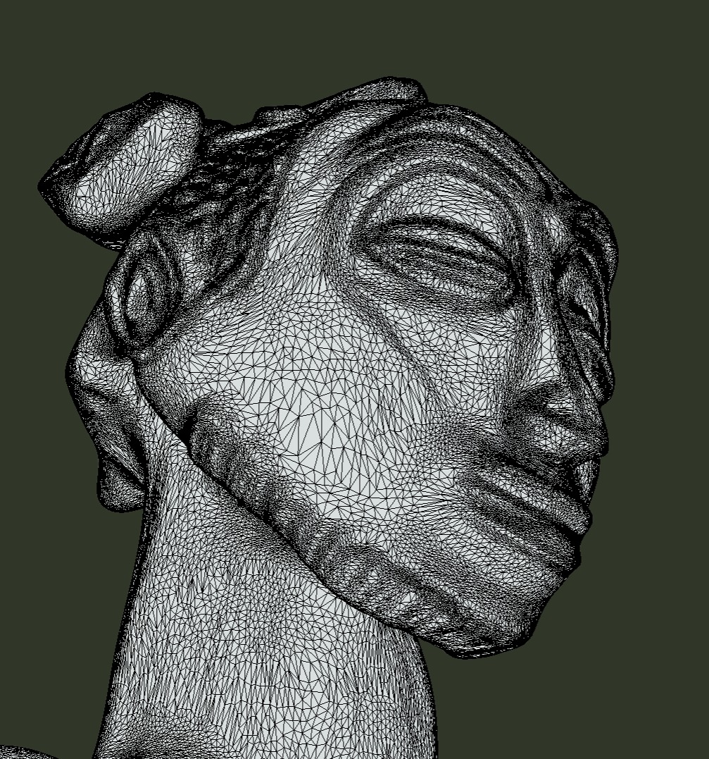 Singiti 3D print model_5