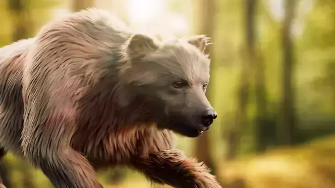 Brown Bear Animated and Rigged