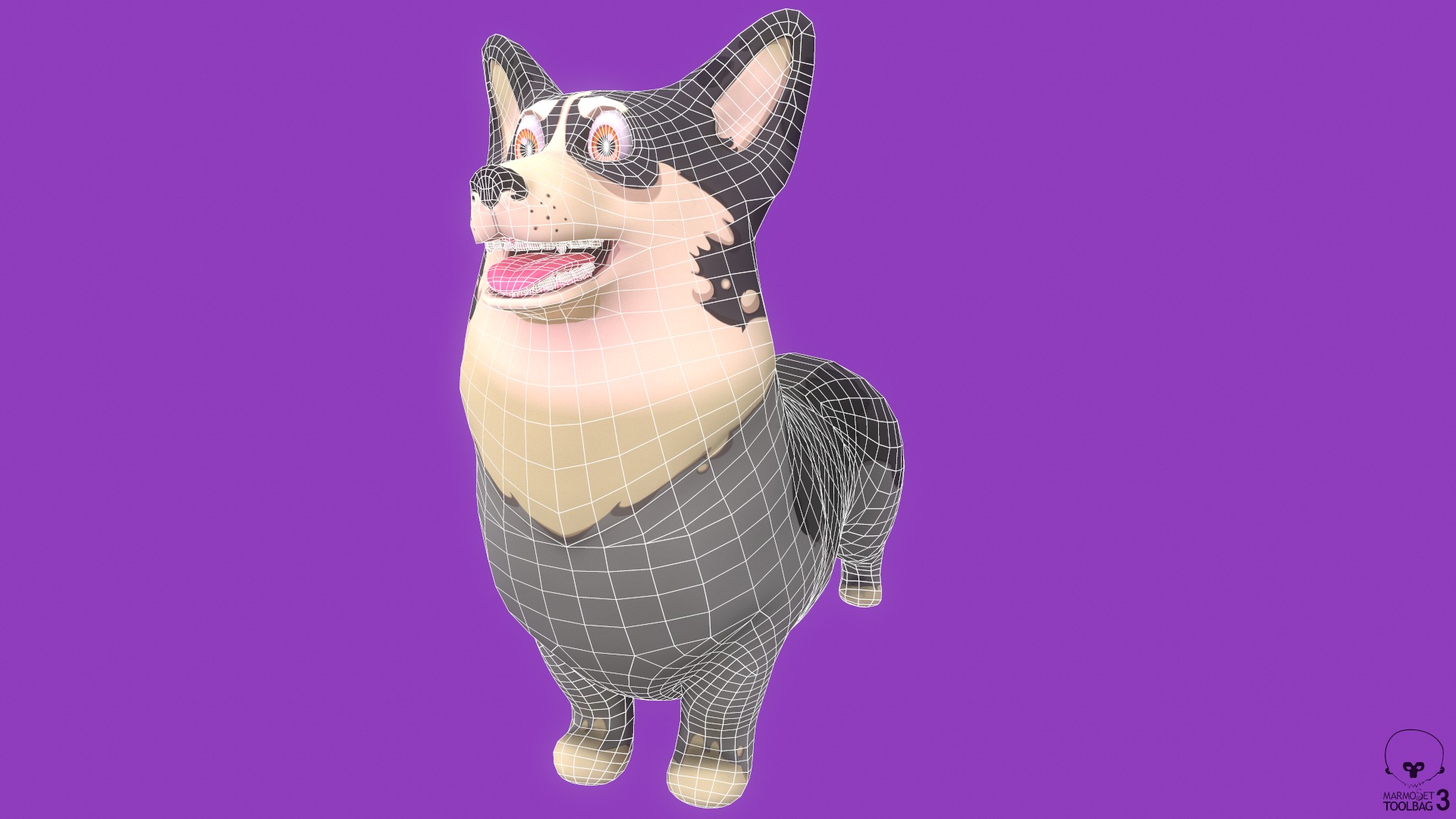 Stylized Spotted Grey Welsh Corgy for Games and Animation  Low-poly 3D model_7