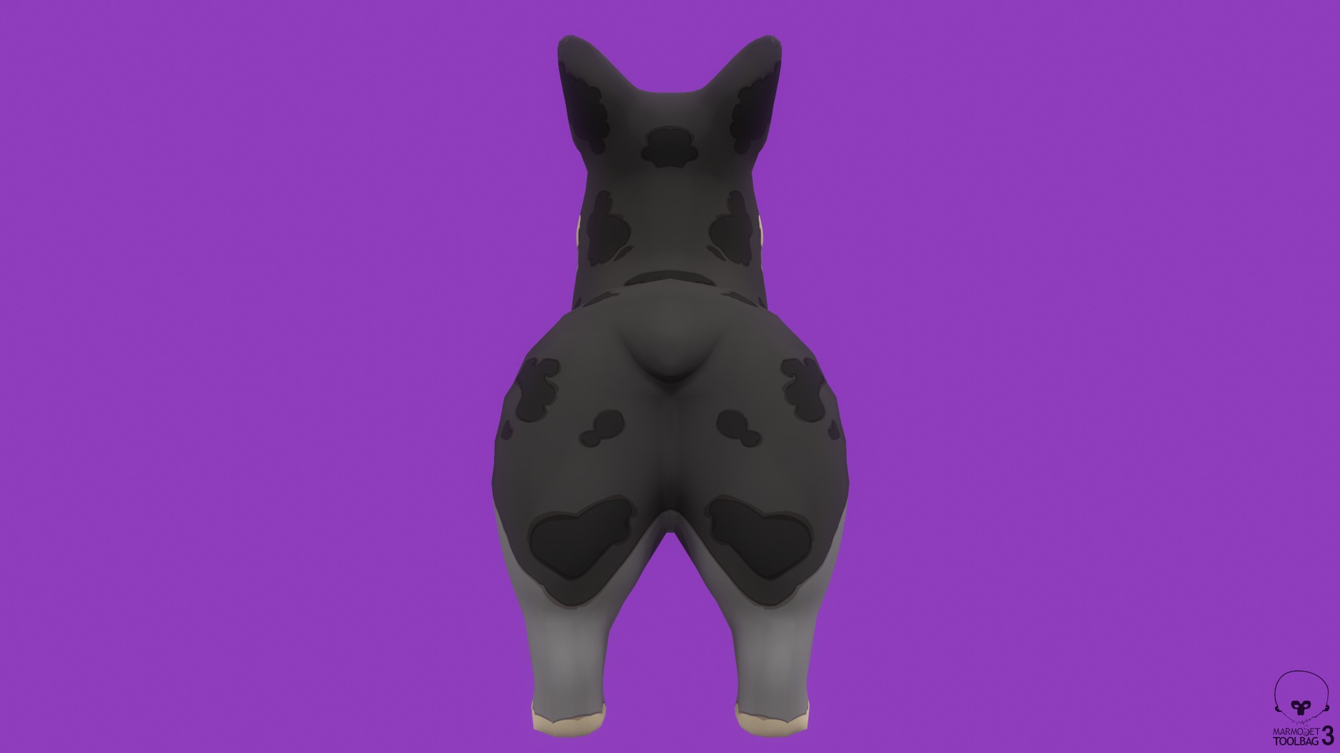 Stylized Spotted Grey Welsh Corgy for Games and Animation  Low-poly 3D model_5
