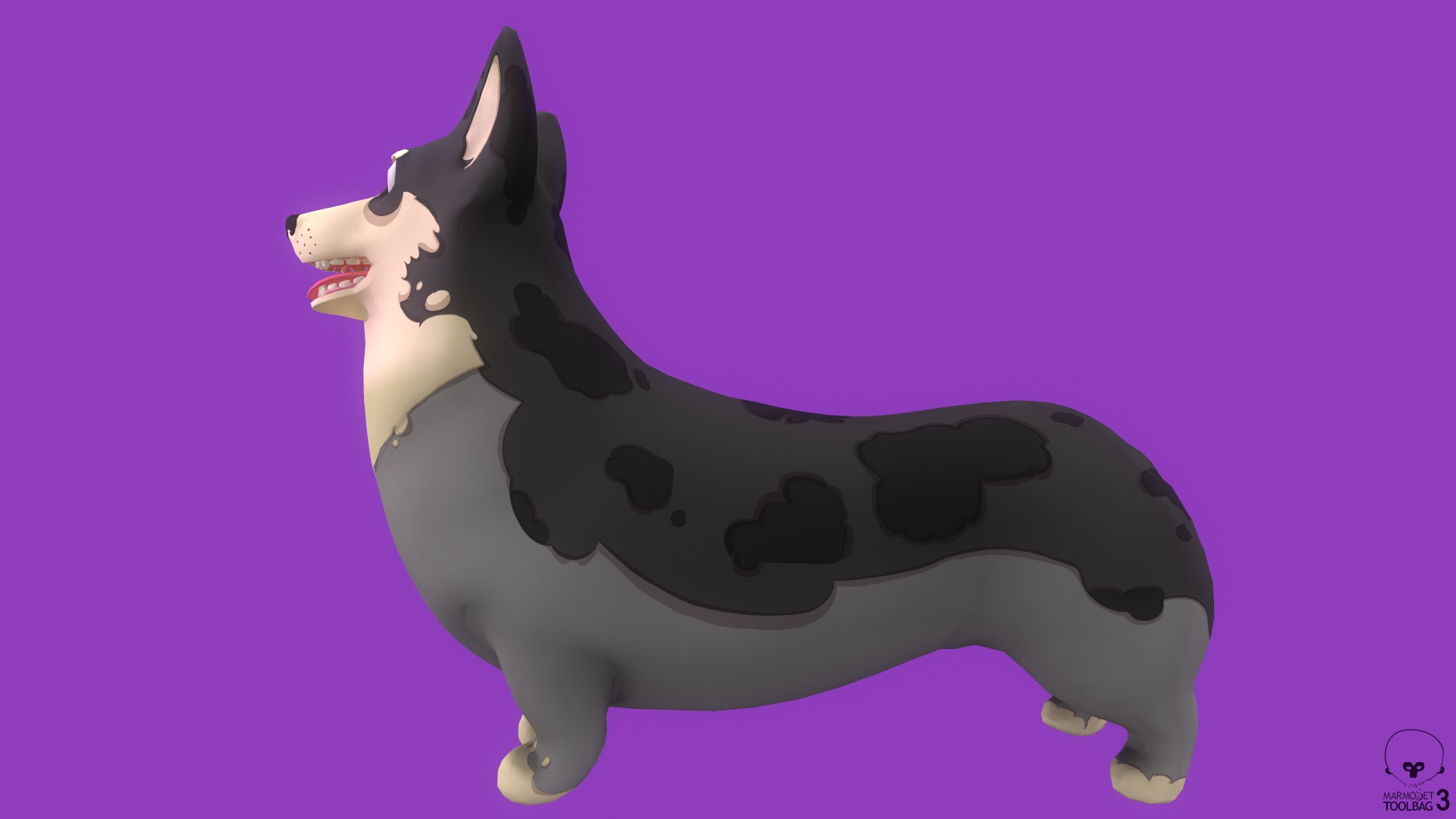 Stylized Spotted Grey Welsh Corgy for Games and Animation  Low-poly 3D model_4