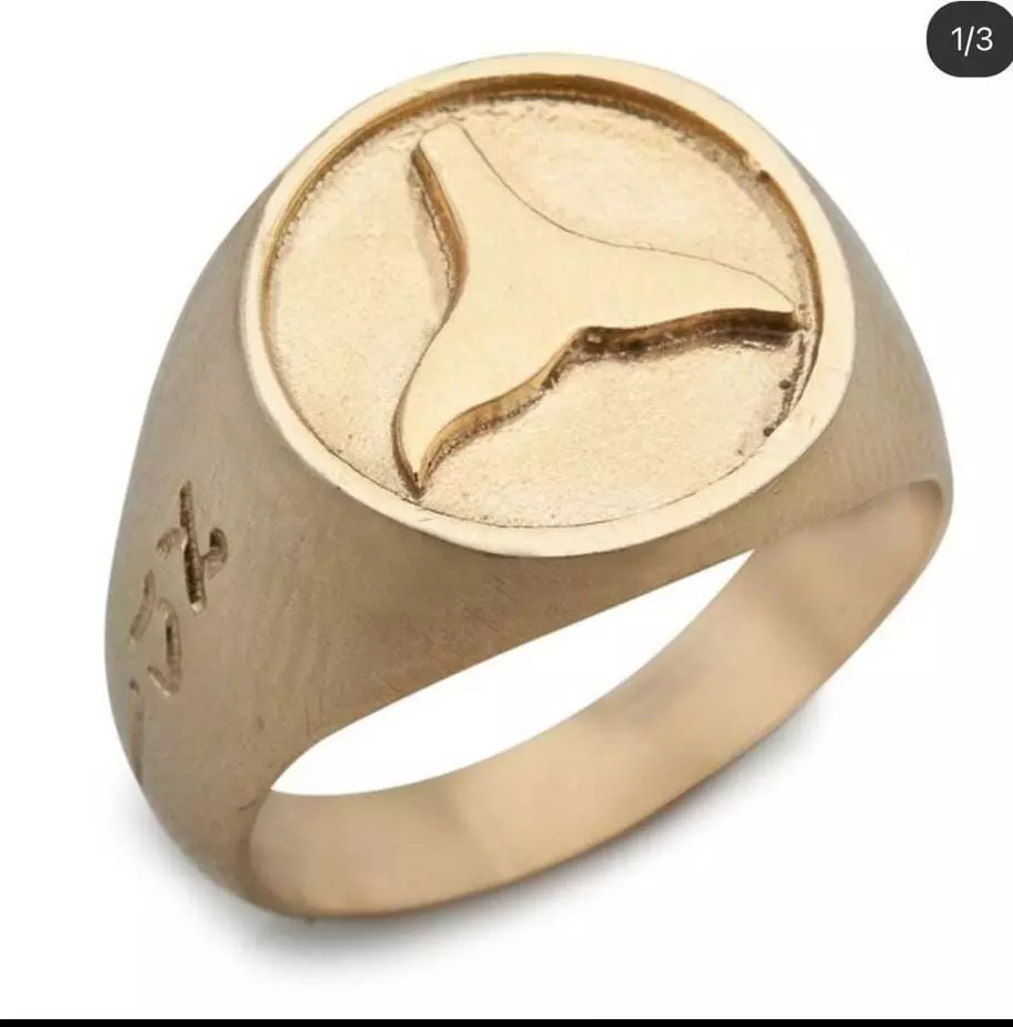Fish-fin Ring 3D print model