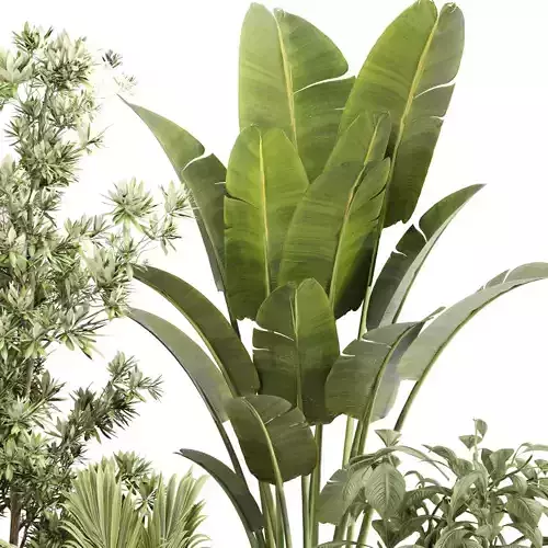 Indoor Plant Set 0114 3D model