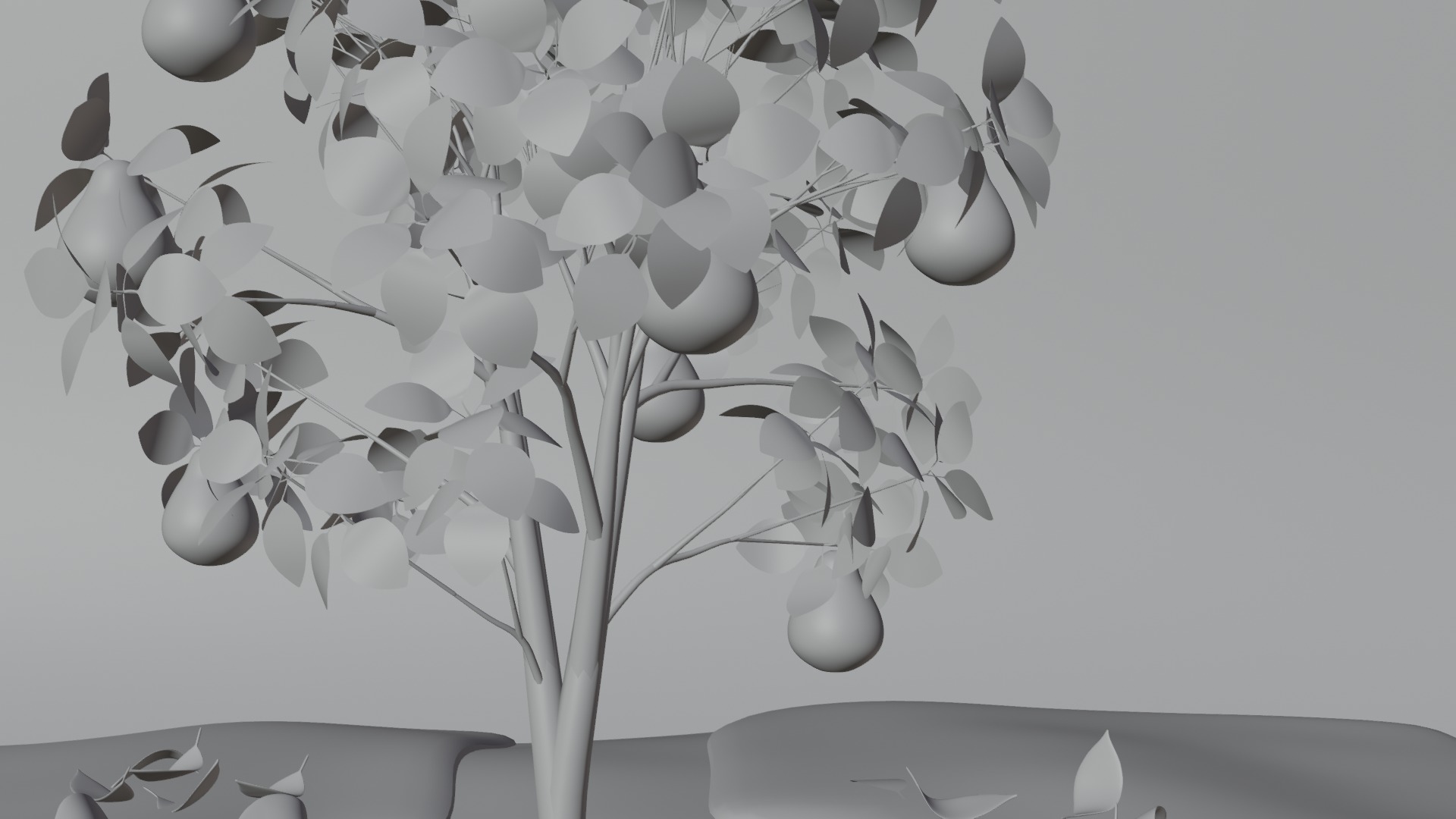 Pear Tree 3D model_4
