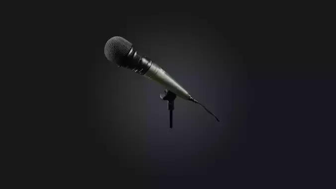 reporter microphone