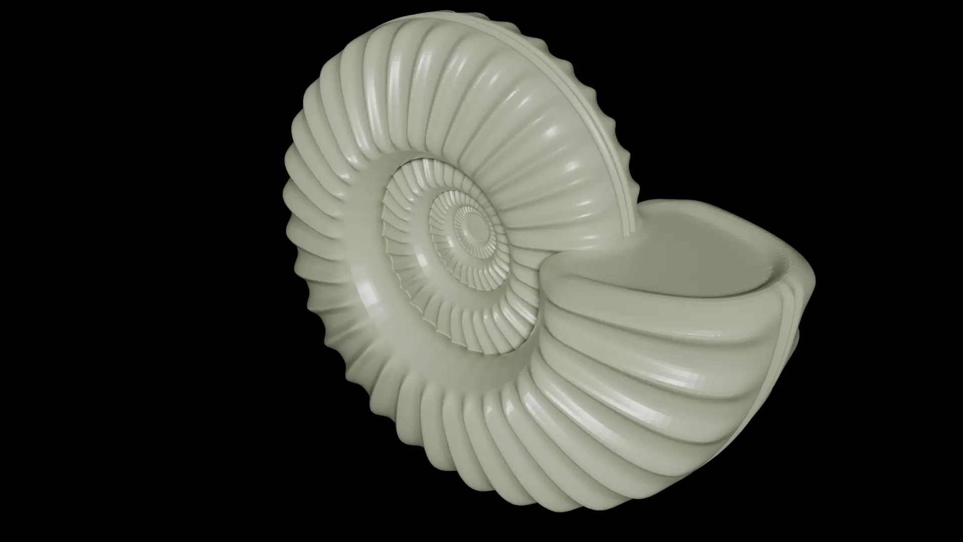 Sub evolute Ammonoid shell With Ventral Furrow 3D model