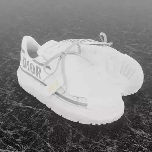 CHRISTIAN DIOR ID 3D SHOES