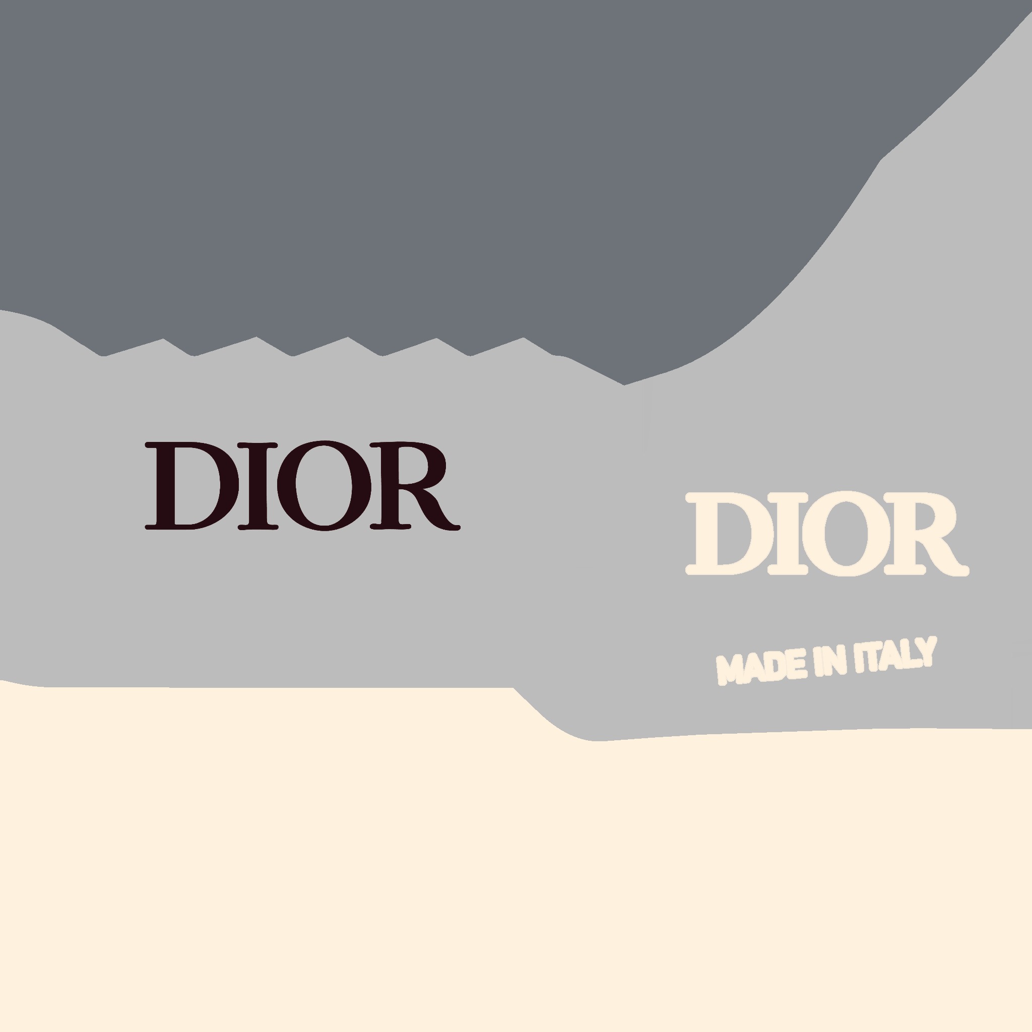 CHRISTIAN DIOR B33 3D SHOES 3D model_27